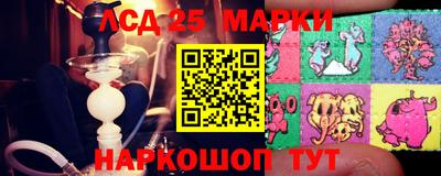 гашик Кандалакша