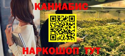 гашик Кандалакша