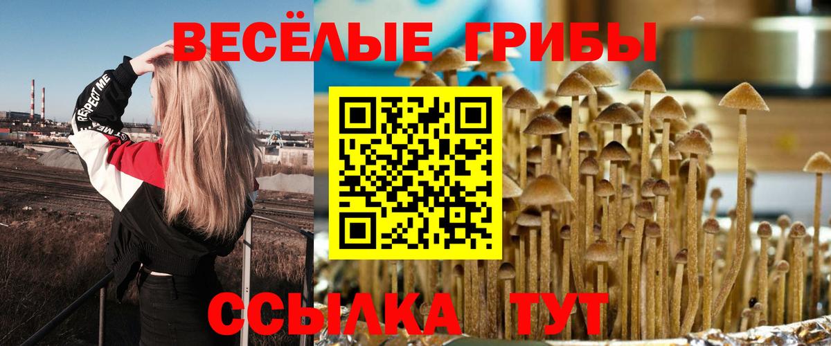 Галлюциногенные грибы Psilocybe  Псилоцибиновые грибы GOLDEN TEACHER  Вход с VPN  Кунгур 